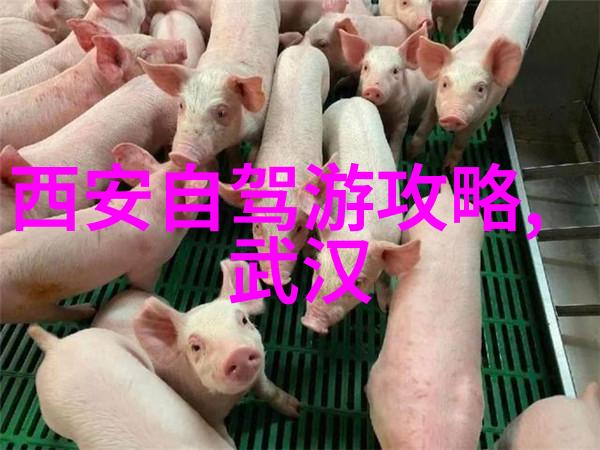 全球最适合穷游的国家