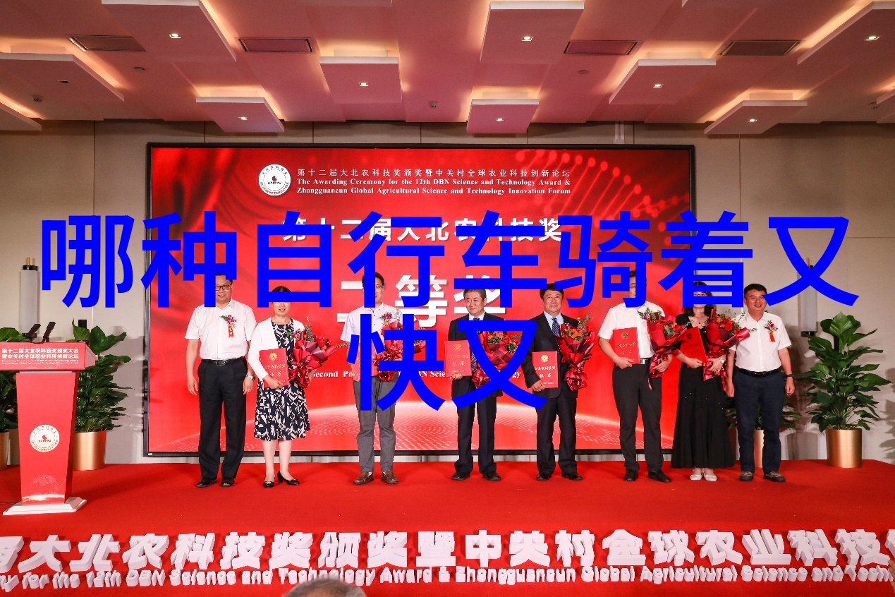 丽江古城的迷人风情探索云南丽江古城的历史与文化