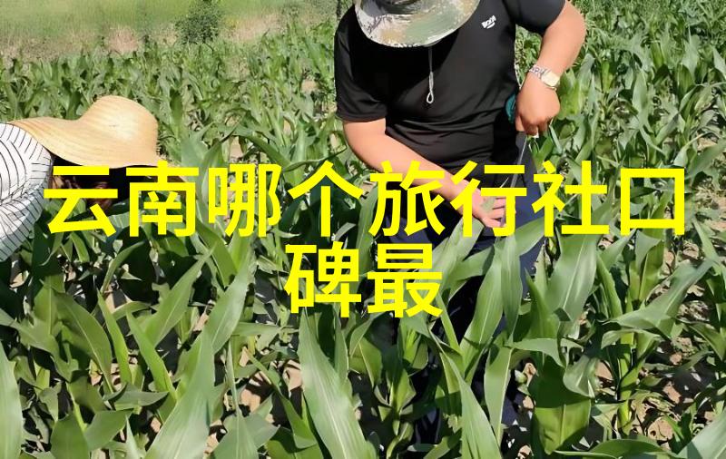 旅游景区发展趋势与生态保护对策研究探索可持续游憩模式的未来