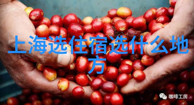 东方梦想乐园寻觅那座传奇的房车酒店