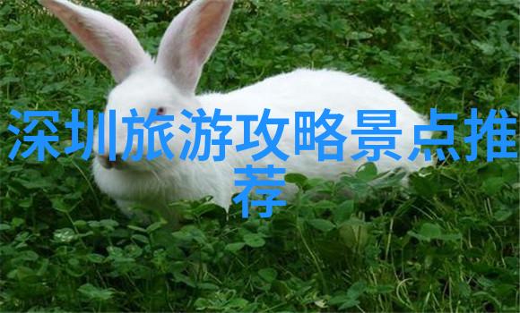 西安夜市风情画卷味蕾上的异国情调体验