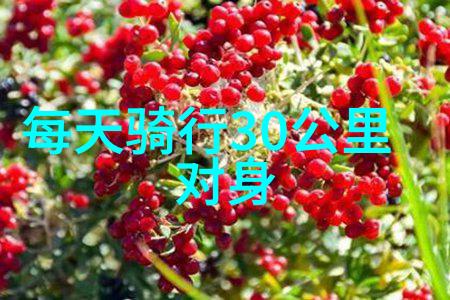 春季的美丽探索欧洲最迷人的花城