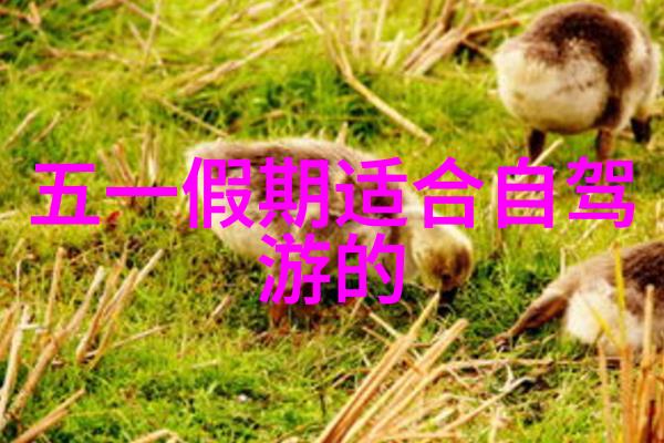 如何利用手机应用提升自驾旅途体验