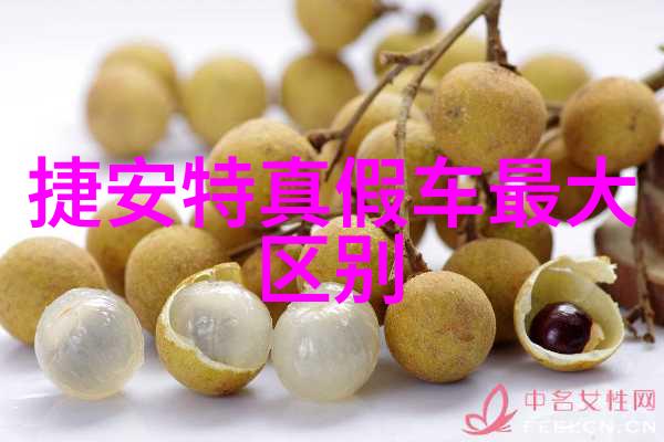 探索未知穿越时光的旅程记