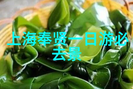 雪乡自驾游攻略绽放的冬日奇迹与行车必备知识