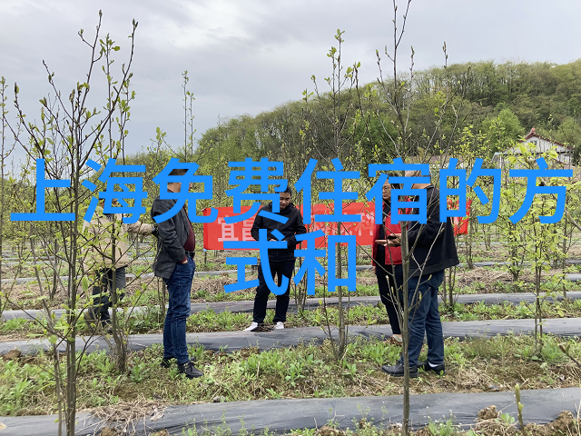 桂林旅游攻略翠峦碧水之旅