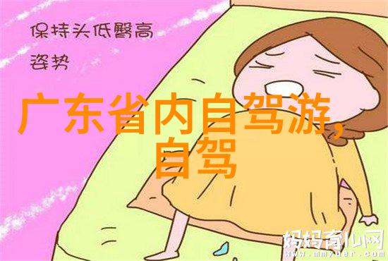 探索旅游社交平台的多元功能与互动机制构建跨文化交流与旅行体验共享的新模式