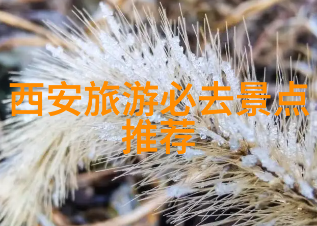 在有限的时间内体验最具代表性的华中城市长沙株洲湘潭等