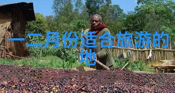 绚烂的足迹红色旅游百条精品线路