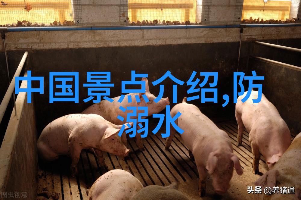 寒蝉凛凛感受大自然的脉动10月户外活动指南