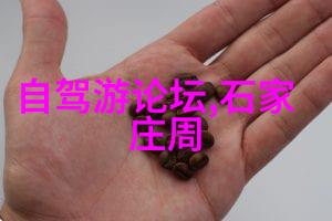 探秘旅行旅游小知识题库的奇妙世界