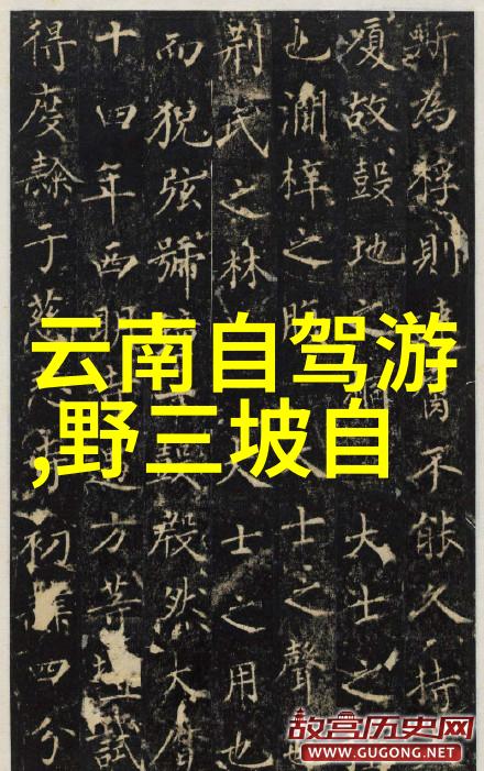 出境旅游攻略海外旅行规划国际行程安排国外安全提示跨境购物技巧