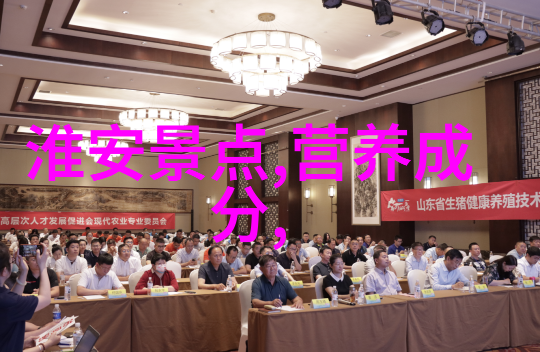 智慧对决策略与逻辑推理在30人竞技游戏中的应用