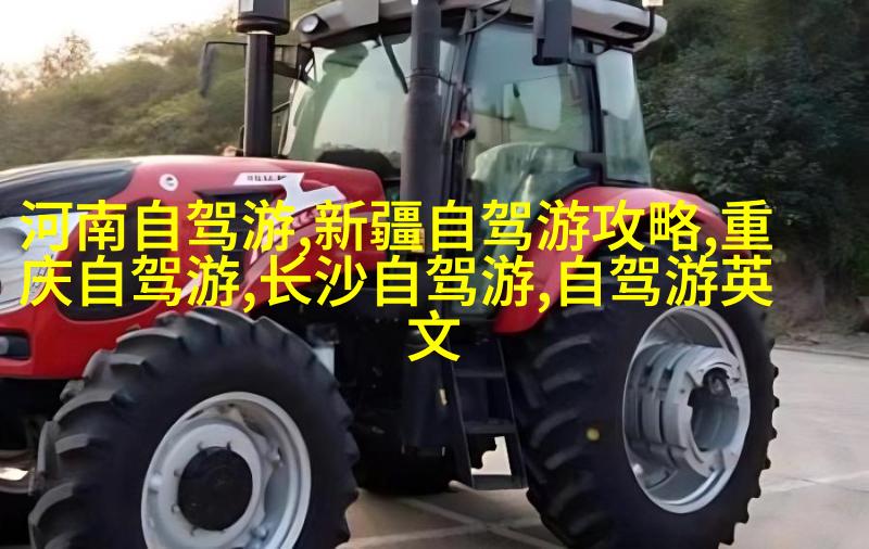 图3：门卡乌雷斯（小王）