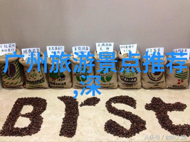 青岛悠然阿里自助游探秘策略