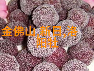 厦门自驾游我的海滩公路之旅