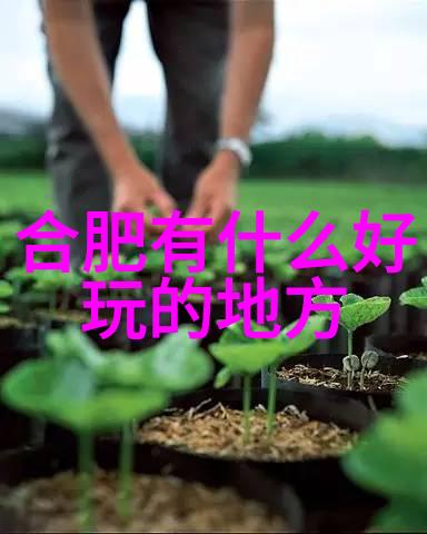 妖仙魅世倾城之恋与忘川之梦