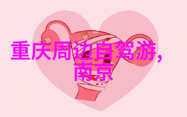 中国何时复苏出境游解读新政策与旅游业复苏之路