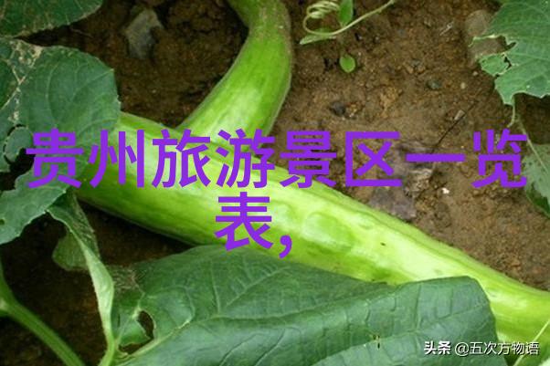 公司团队建设拓展活动增强员工凝聚力和工作效率的有趣团建方式
