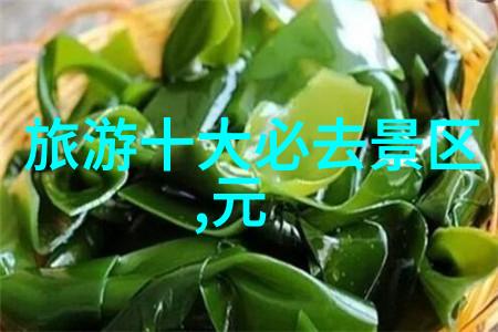 生态教育新篇章将五十款变为一段精彩纷呈的人生旅程