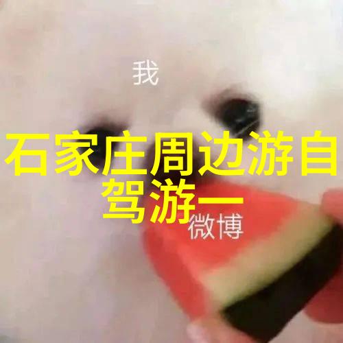 骑行与跑步哪个更炼身体古稀老人在318线无终点哪儿算哪儿