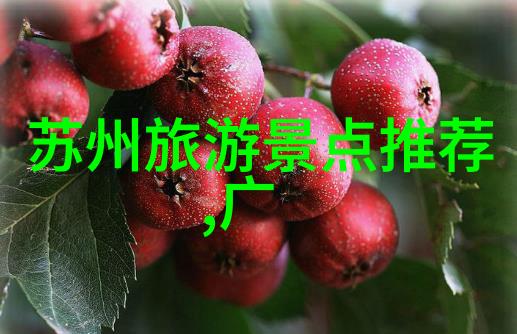 杭州风光与宁波古韵5日浙江探秘行