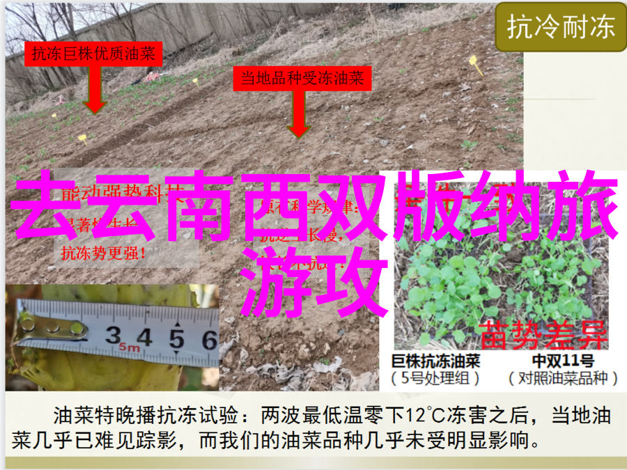 欲火焚烧全文阅读无删减的激情与欲望之旅