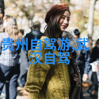 极速骑行4中文设置神技Bontrager RSL 51 TLR碳纤维碟刹公路轮组开箱体验揭秘旗舰香气