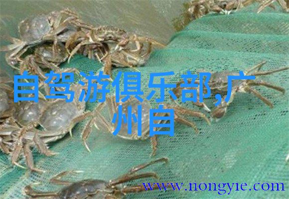 稻城亚丁2021旅游新闻大事件一份夏日自然畅游行程清单