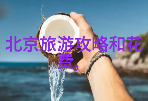出国必备手续全览签证申请护照办理与健康证明要求
