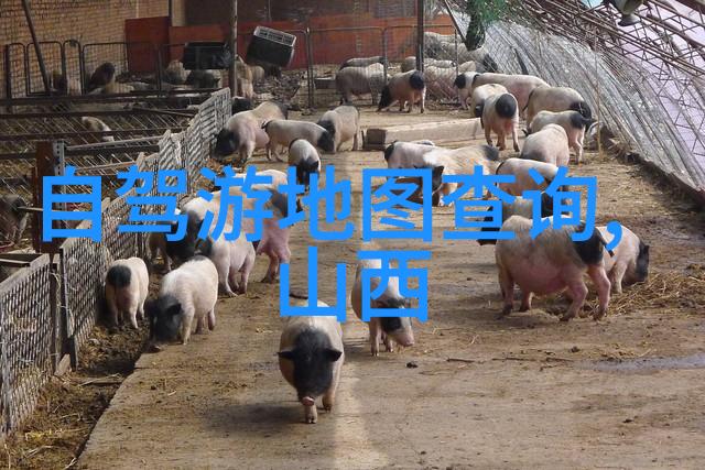 探索烟台美丽必游景点一览