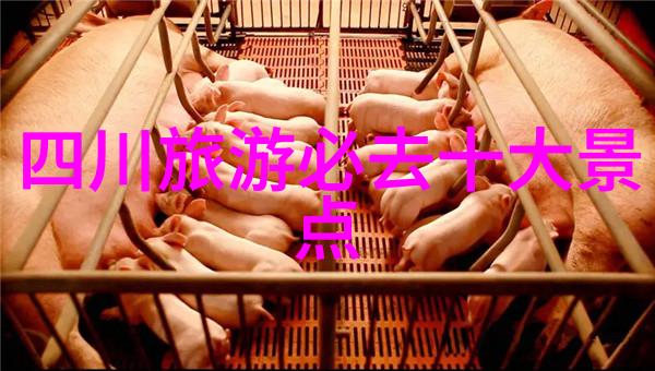 河南省的秘密花园探索郑州周边自驾游