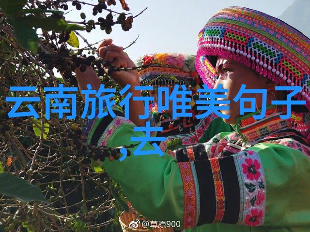探秘唐山美食中国十大夜市排行榜中的珍品