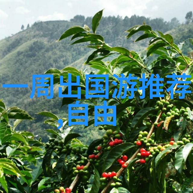兰州旅游攻略-探索甘肃之冠兰州一日游必做事项