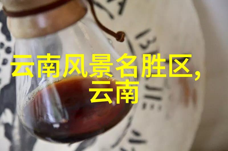 毗蓝婆菩萨的离去一段传奇演绎的结束
