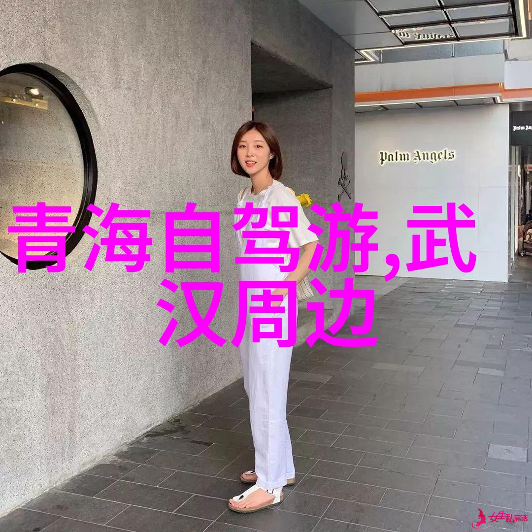 追寻泰山的足迹探索世界上有名的泰山城市