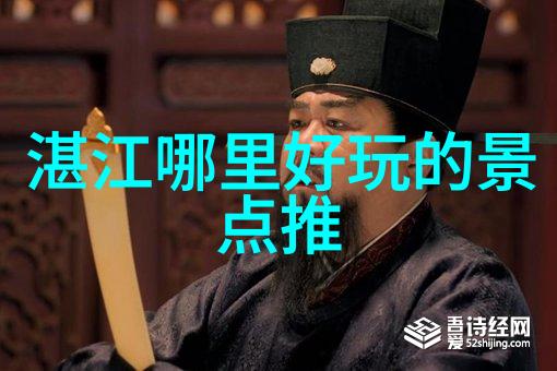 野外求生技能速学指南紧急情况下的应对策略