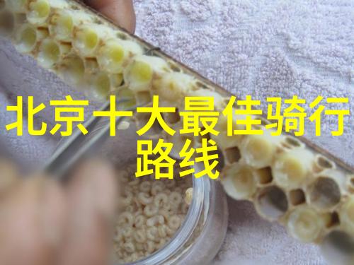 四川美景探秘揭秘雅安的九寨沟之谜