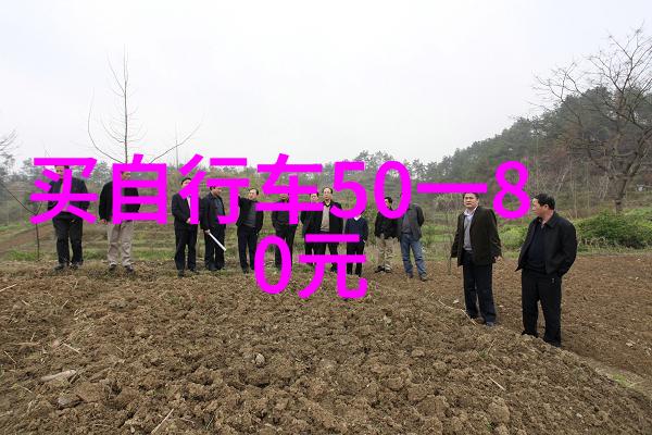 杭州旅游攻略自由行我在杭州的五天五夜从西湖到龙井的美好旅程