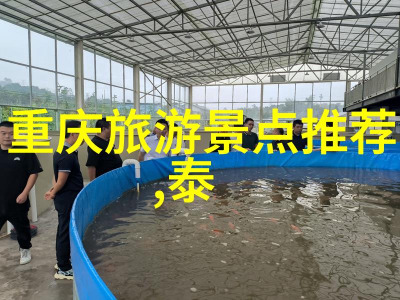 崂山风景名胜区登高望远感受大自然之美