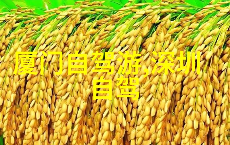 成都自由行4天最佳路线我在成都的4天大冒险从锦里到武侯祠