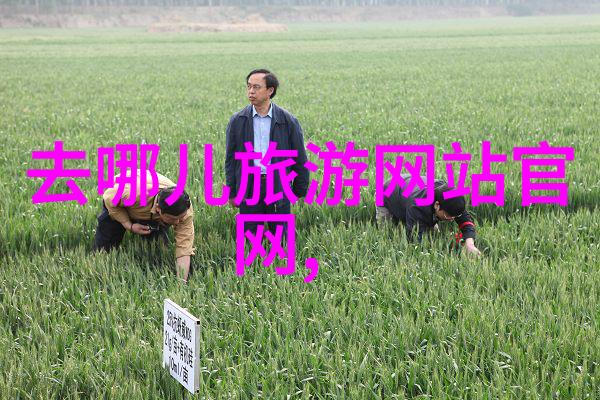 探索-揭秘世界上最值得旅游的国家文化之冠与自然奇观