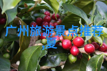 沿海之旅厦门的自驾探秘