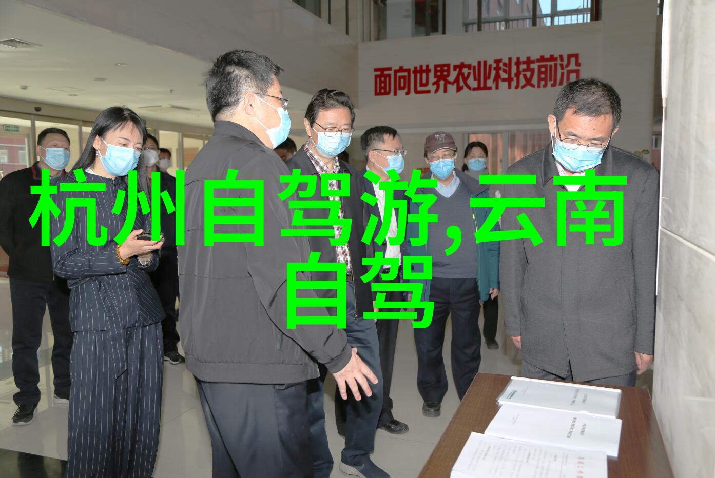 探索西湖畔杭州自驾游指南