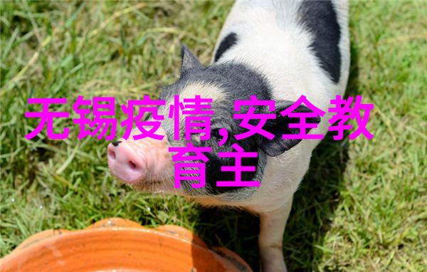 探索湿地生态湛江红树林与野生动物之旅