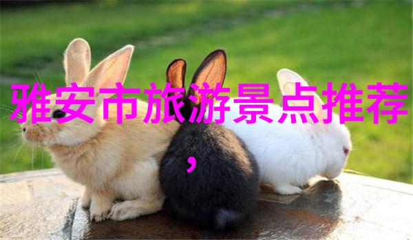 疑惑解答好在哪里追踪最新一代旅行手机应用