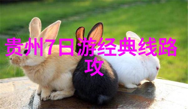 韩国冬季旅行必去热门地方