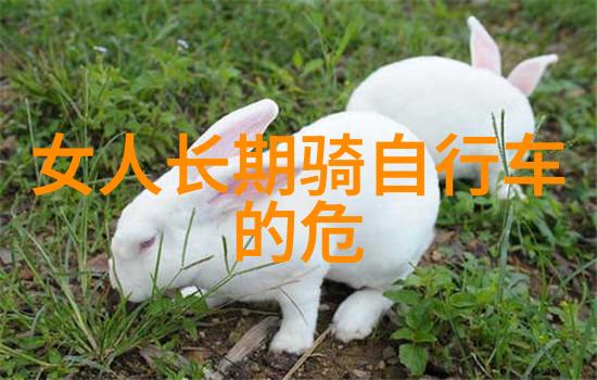 探秘时光机穿越三日游的奇幻冒险