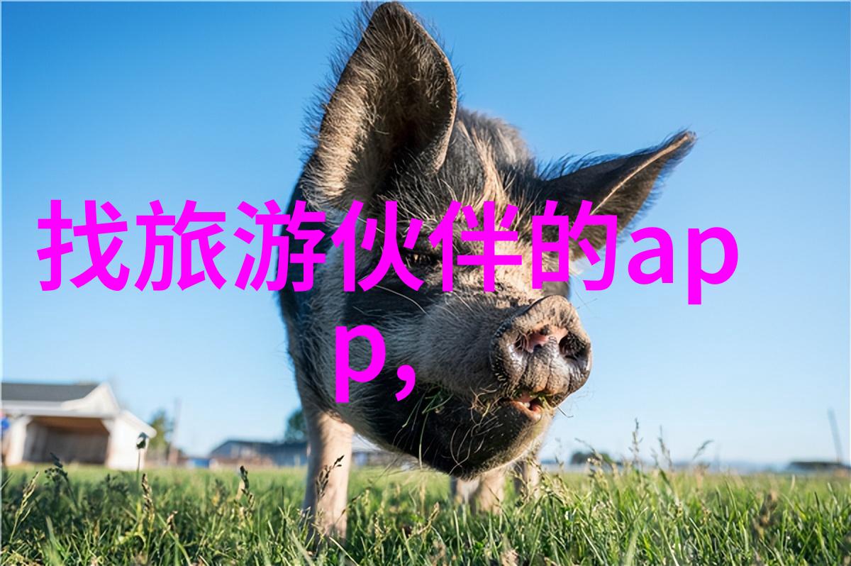 厦门游览鼓浪屿犹如杭州旅游攻略中的画卷展现出独特的韵味与风采