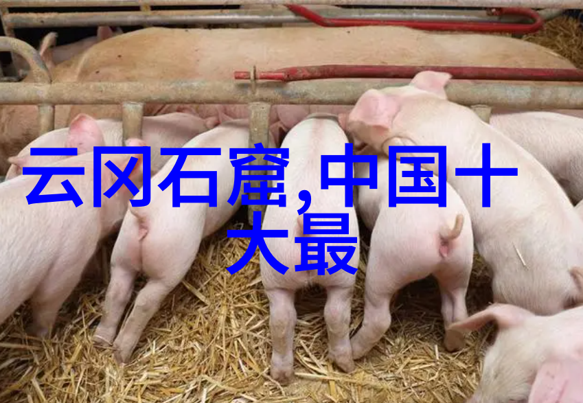 去韩国的签证在哪里办西北旅游详细攻略揭秘韩国签证申请流程